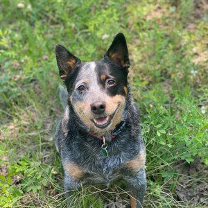 Meet your Posher, Leslie